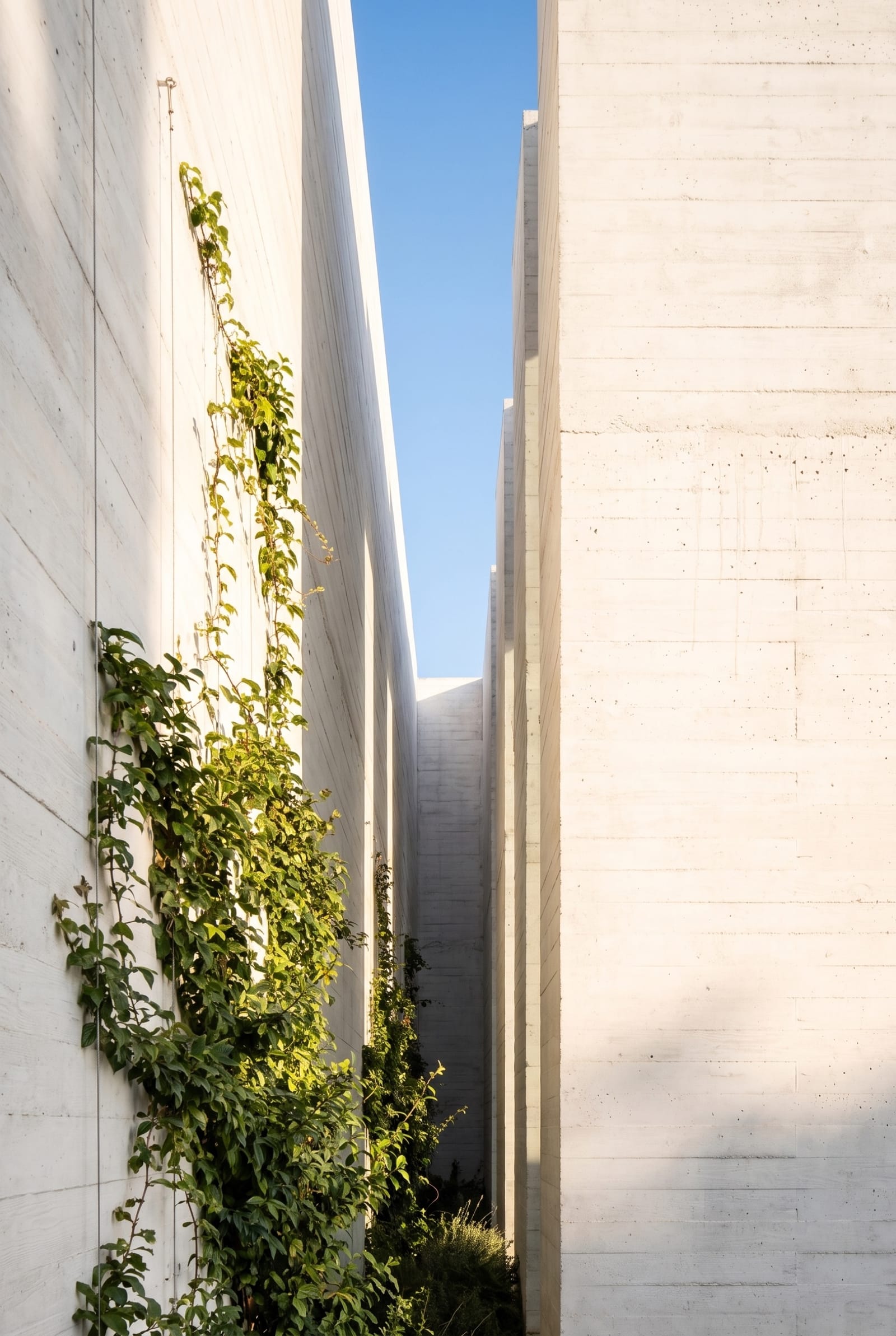 A narrow vertical slot of sky between two concrete walls